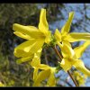 20060423_025